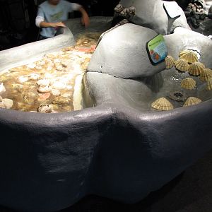 Oceanarium - Shallow Ocean - Play Area
