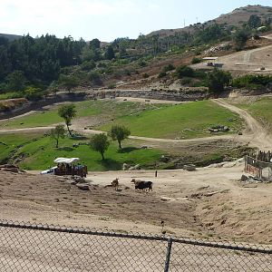 6-12-10 Segway Tour - Central Asia