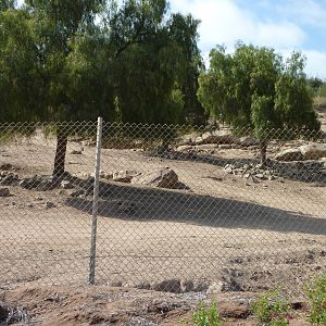6-12-10 Segway Tour - Markhor