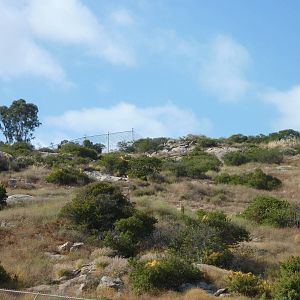 6-12-10 Segway Tour - Off exhibit Condor Center