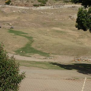 6-12-10 Segway Tour - Barashinga