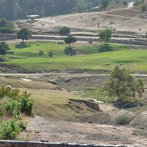 6-12-10 Segway Tour - Asian Plains and Przewalksi's Horses