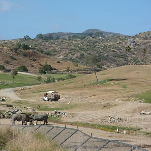 6-12-10 Segway Tour - East Africa