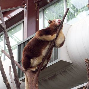 I'm just going to lay here.