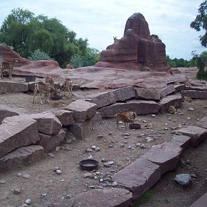 I'm going to mislabel this exhibit