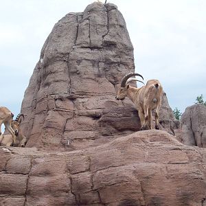 I'm going to mislabel this exhibit