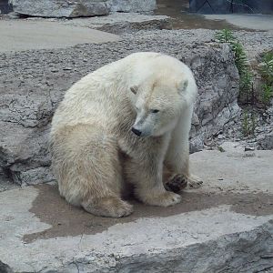 *Sniff* Lunch is on the way.