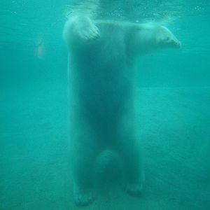 Ahh! Where's my head?