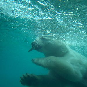 Time to snatch the fish.