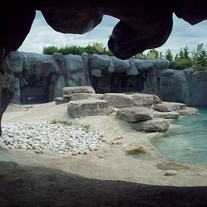 Another Viiew of the Polar Bear Exhibit
