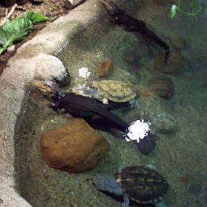 Take a shot before you get pushed away.