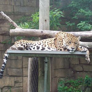 Take it easy, buddy.