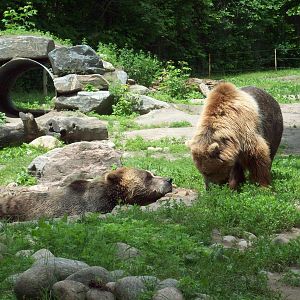 Come on, swim with me!