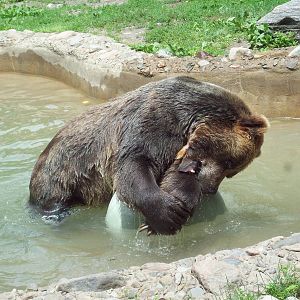 Having a ball! ...With his ball.