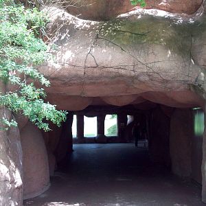 Entrance to the Lion Viewing Cave.