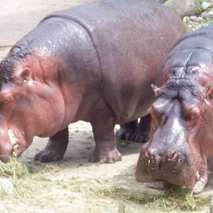 *munch, munch* Ohhh so good!