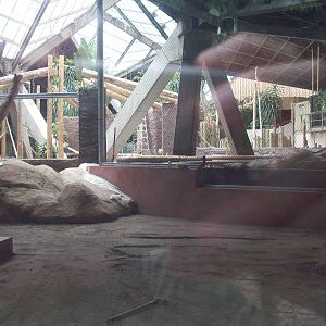 A Sneak Peek at the African Pavilion Construction