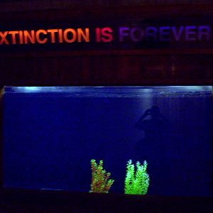 Apparently it happened already in this tank.