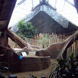 Indoor Gorilla Habitat.