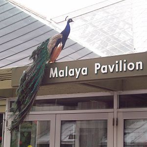 I accent the building!