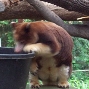 Hmm...what's in here?