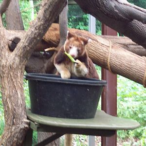 If I only had more time spend with Chrissie.