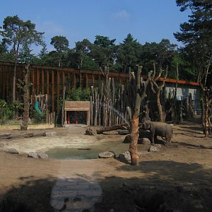 New elephant enclosure