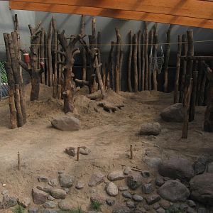 New elephant enclosure