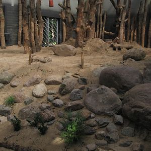 New elephant enclosure
