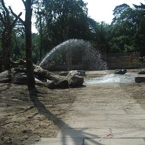 New elephant enclosure