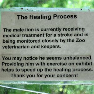 sign at lion exhibit