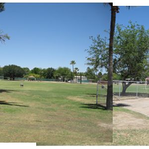 future elephant area