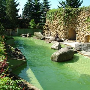 Sea Lion pool at Zlin, 28/05/10