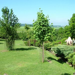 South American mixed exhibit at Zlin, 28/05/10