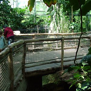 Cuban Crocodile exhibits at Zlin, 28/05/10