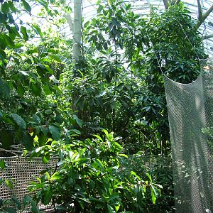 Upper walkway in the Yucatan Hall at Zlin, 28/05/10