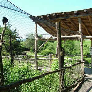 Caracara aviary at Zlin, 28/05/10