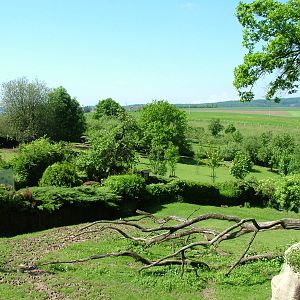 South American paddocks at Zlin, 28/05/10