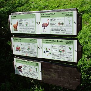 Signage example at Zlin, 28/05/10