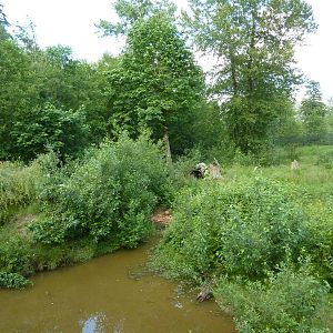1.5 Acre Grizzly Bear Exhibit