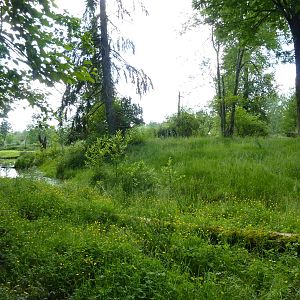 1.5 Acre Moose/Pelican/Sandhill Crane Enclosure