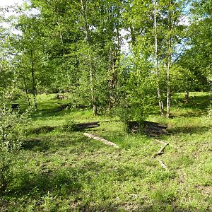 2-Acre Wild Boar Enclosure