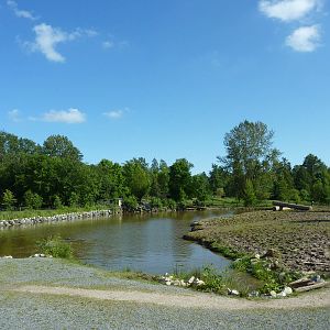 1.2 Acre Hippo Enclosure