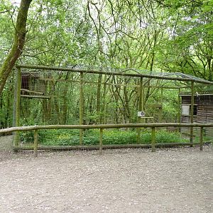 European Eagle Owl Aviary