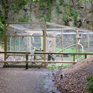 Scottish Wildcat Enclosure