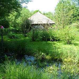 Squirrel Monkey exhibit at Zlin, 28/05/10
