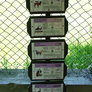 Signage examples at Zlin, 28/05/10