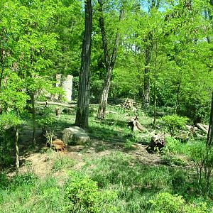 Tiger enclosure at Zlin, 28/05/10