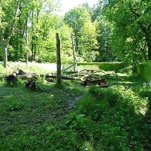 Bear exhibit at Zlin, 28/05/10