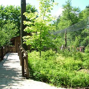 Vulture aviary entrance at Zlin, 28/05/10